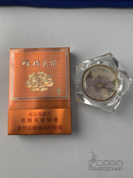 呼伦贝尔（天之韵）中支新品烟