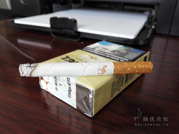 完税版阿根廷软黄骆驼品鉴：综合口味均匀自然 烟气柔软偏轻