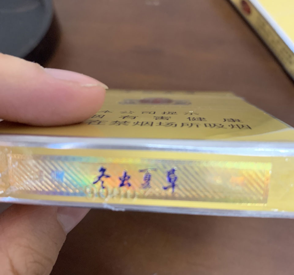 中支冬虫夏草1248（图）