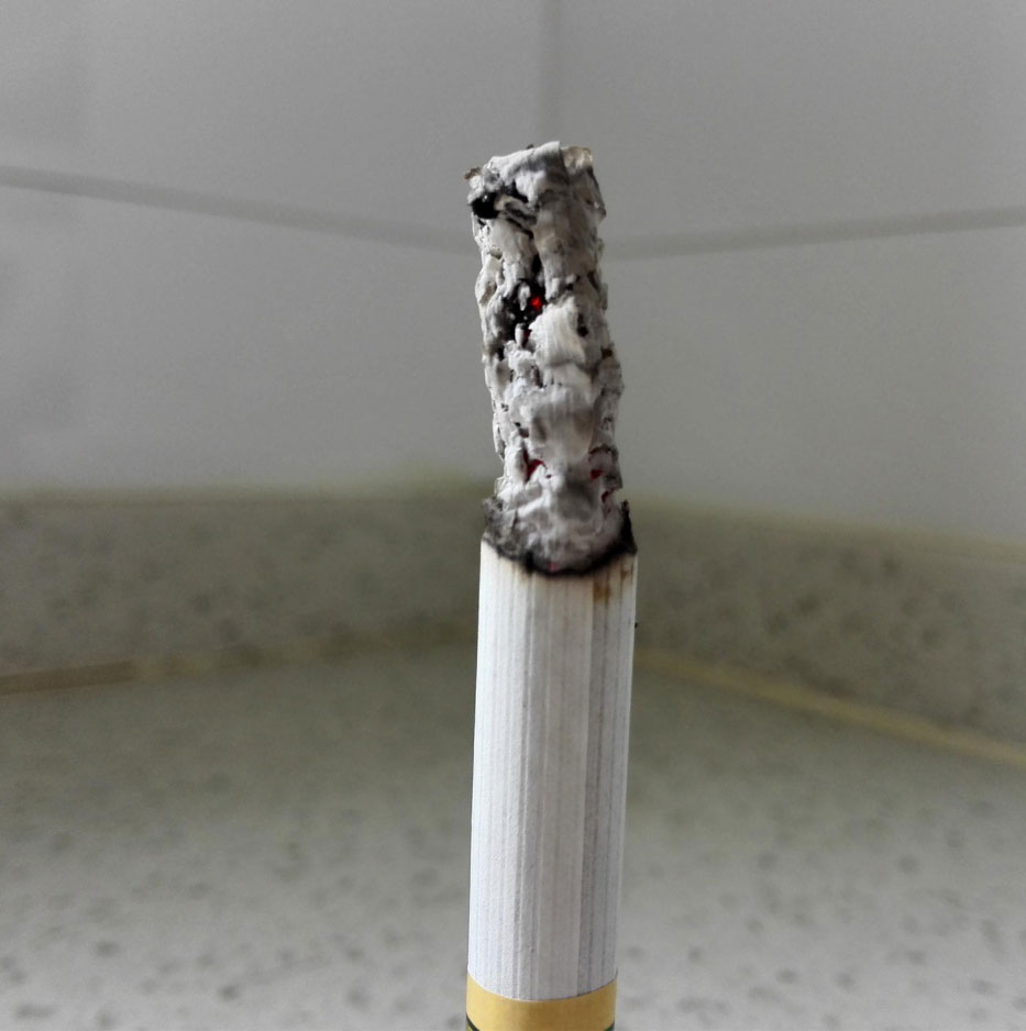 软包专供出口荷花VS软包马尔斯绿荷花，哪款更好抽？